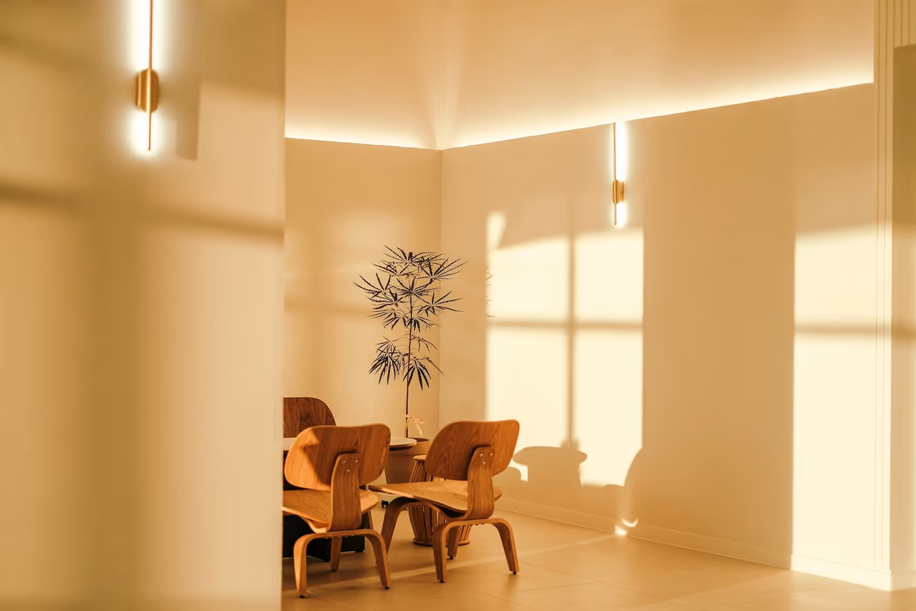 Modern dining room lit by warm natural light