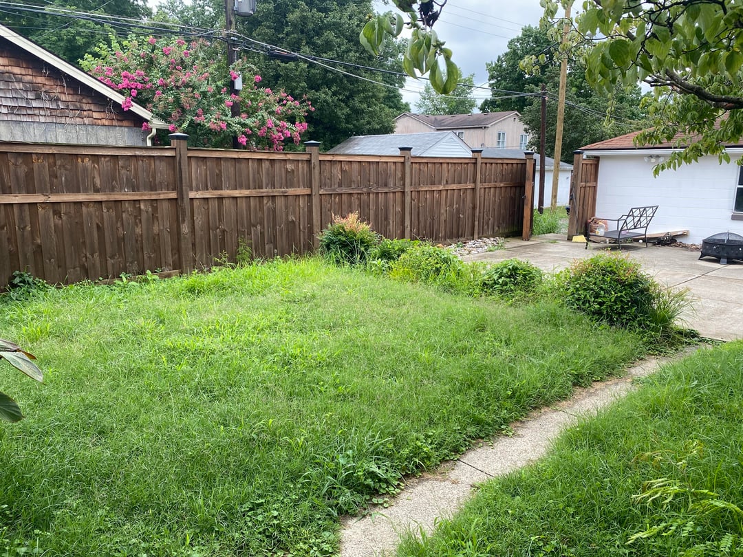 Overgrown backyard with uneven grass, narrow concrete walkway, and wooden fencing