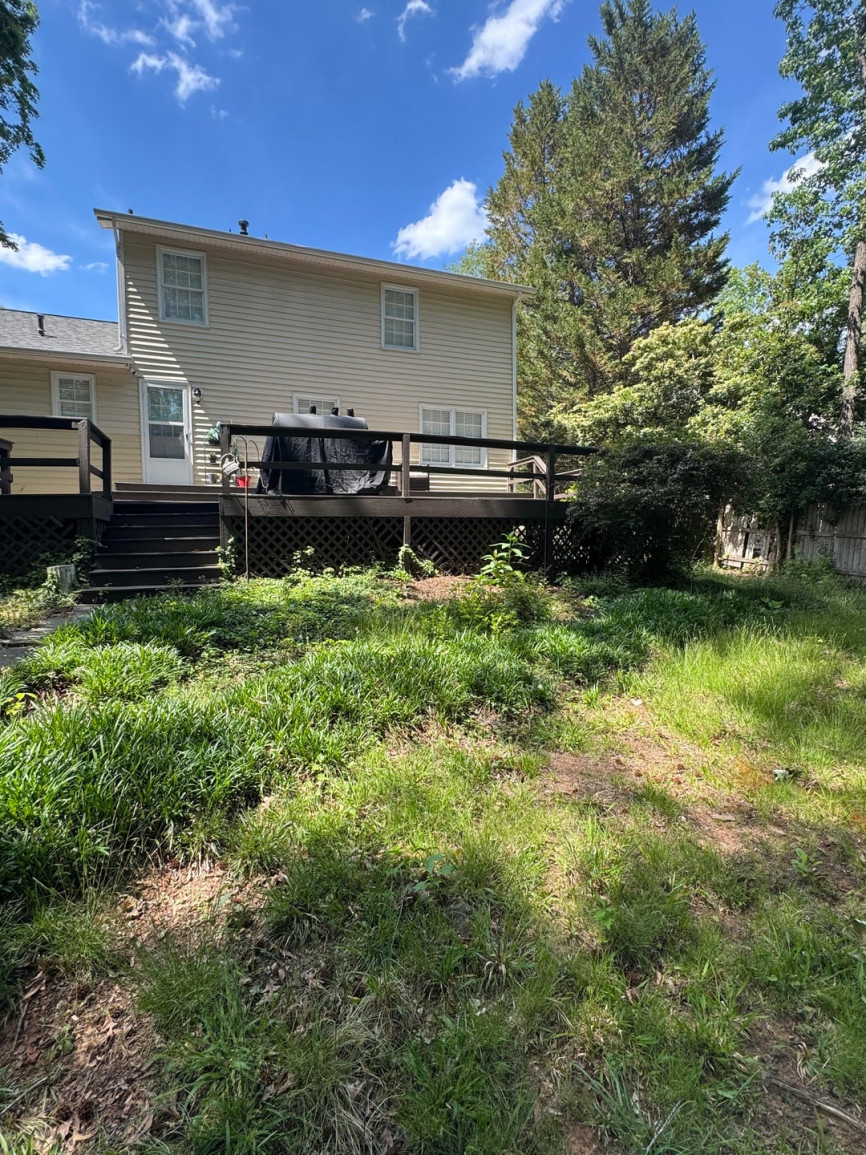 Overgrown backyard with uneven grass and raised deck attached to house